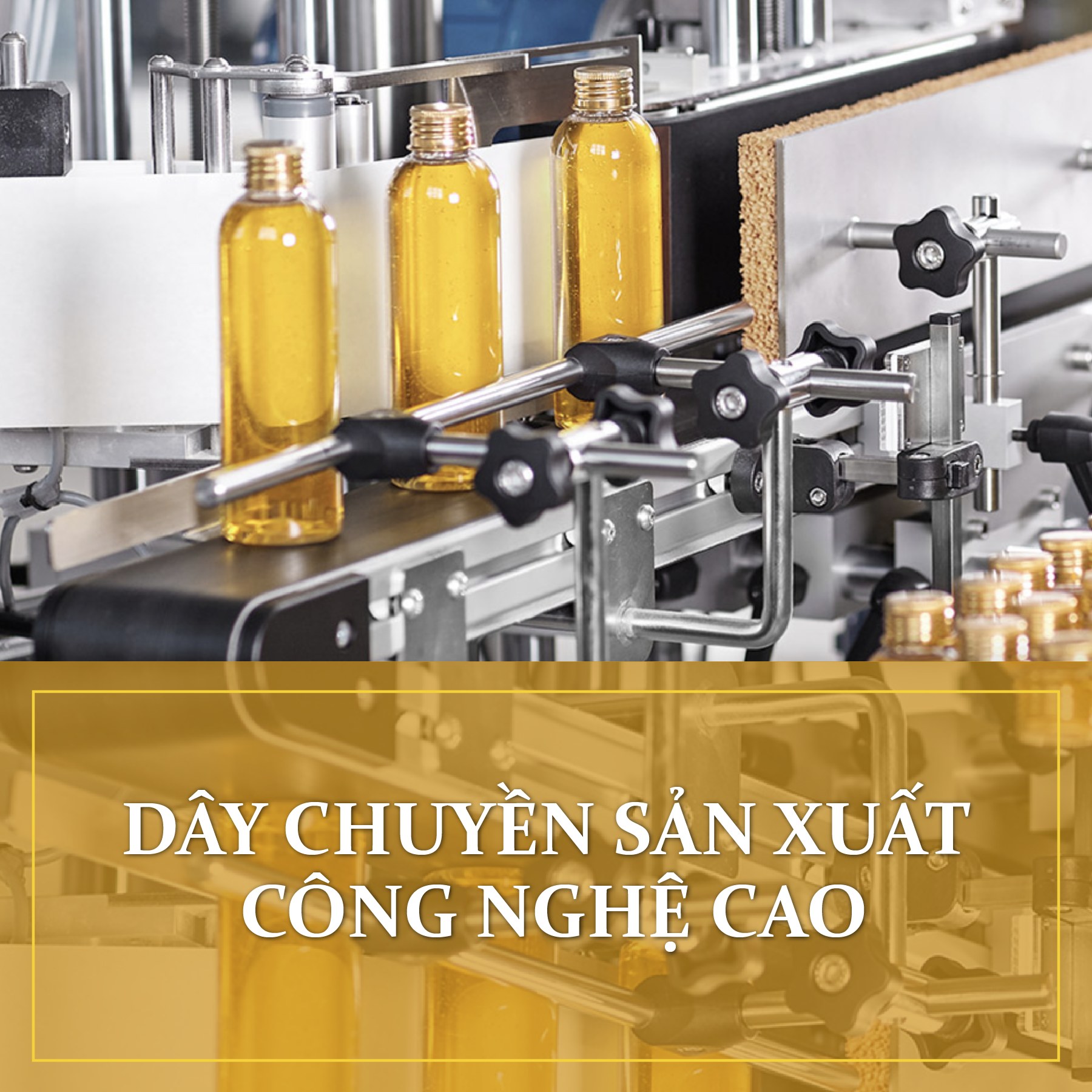 gia công mỹ phẩm độc quyền