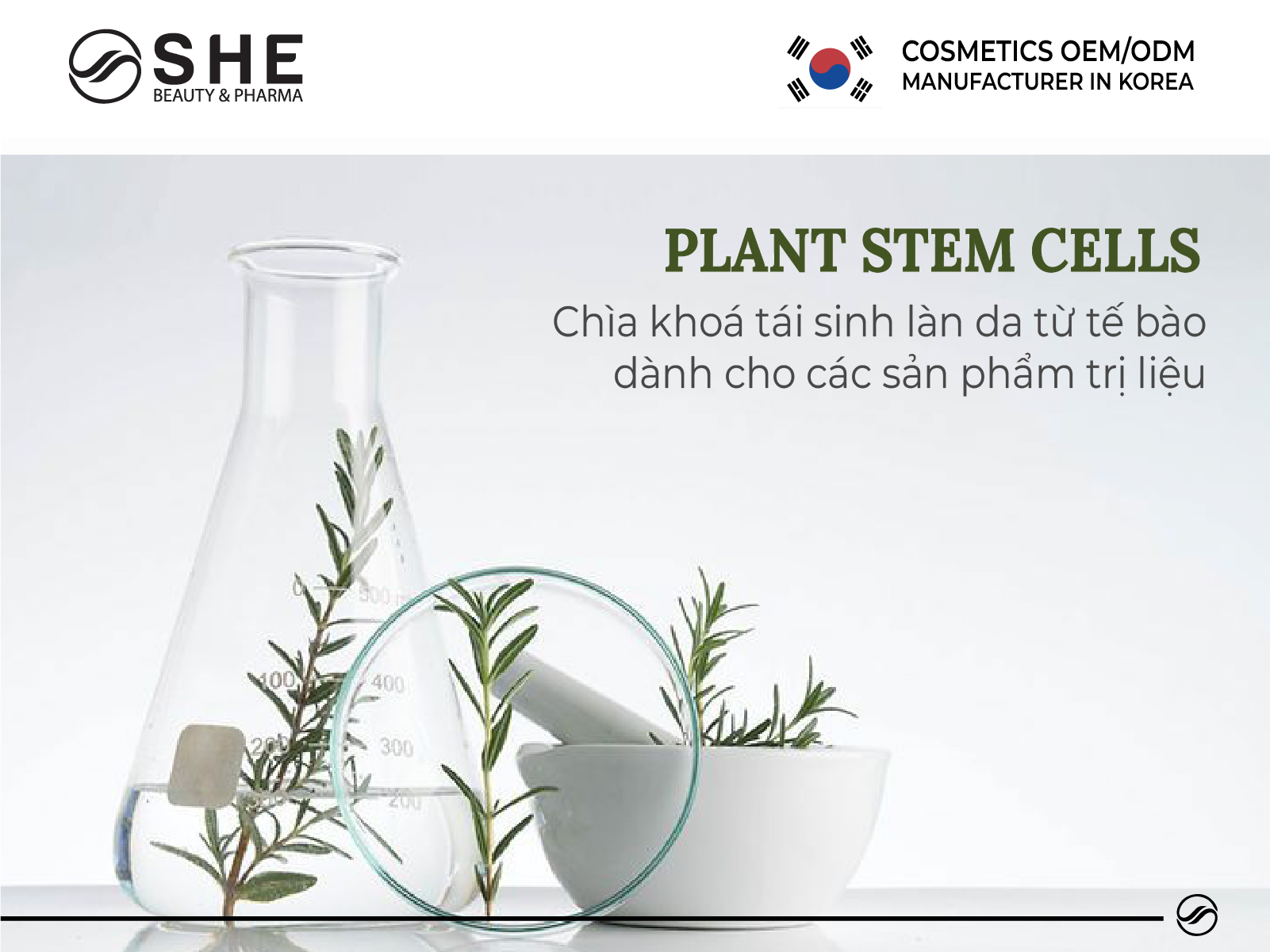 Tế bào gốc thực vật – Chìa khoá tái sinh làn da từ tế bào dành cho các sản phẩm trị liệu